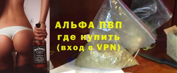 ПСИЛОЦИБИНОВЫЕ ГРИБЫ Михайлов
