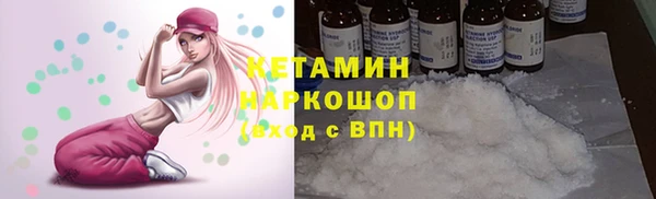 ПСИЛОЦИБИНОВЫЕ ГРИБЫ Михайлов