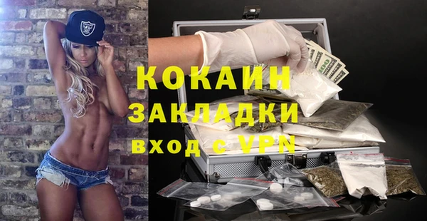 ПСИЛОЦИБИНОВЫЕ ГРИБЫ Михайлов