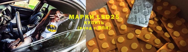 ПСИЛОЦИБИНОВЫЕ ГРИБЫ Михайлов