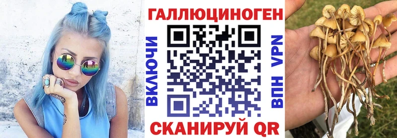 Галлюциногенные грибы ЛСД  Купить  Кадников 